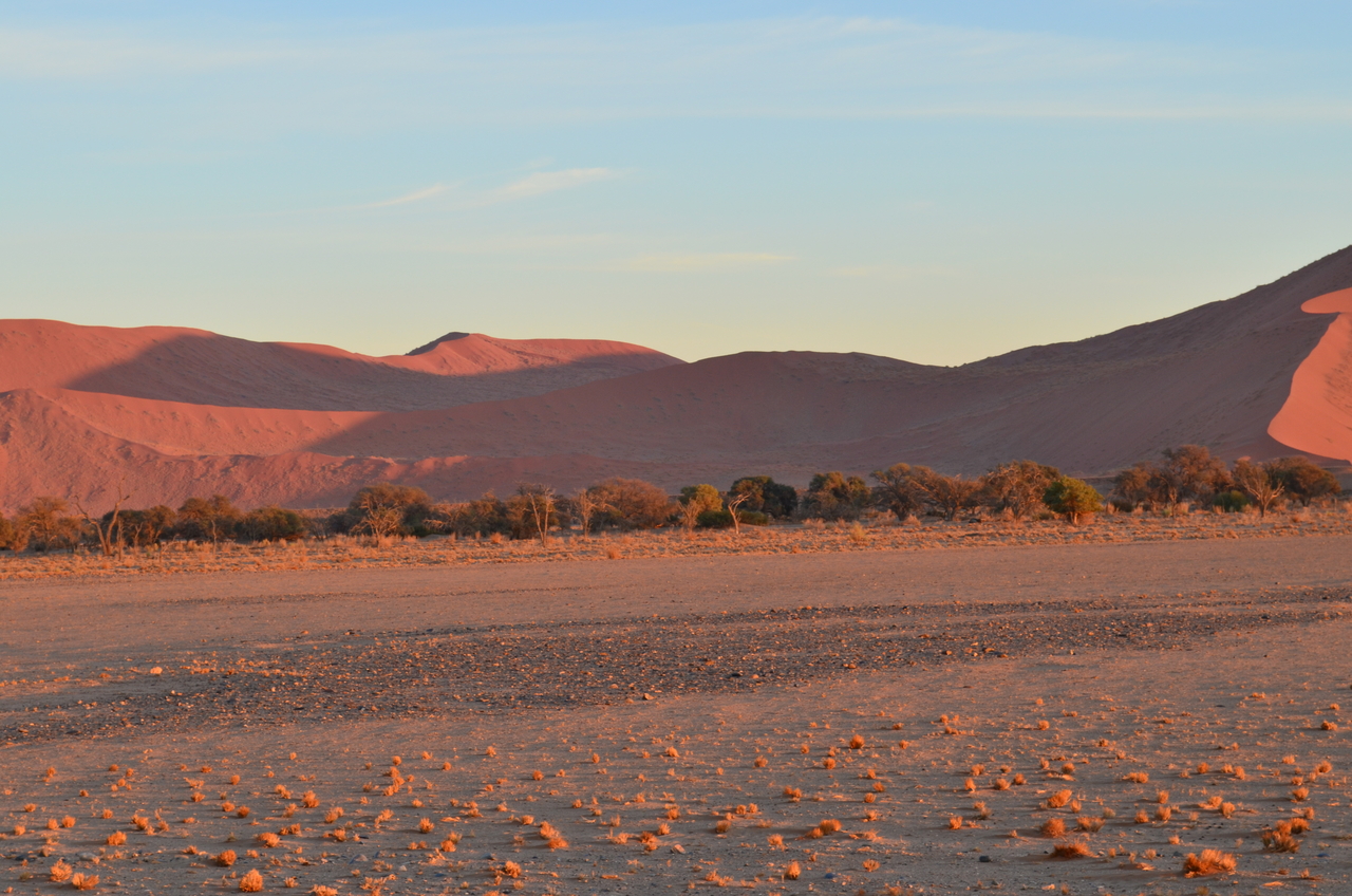 [14374] 2016_06_24_22_01_47_Africa_NIKON_D5100_IMG__04814.jpg