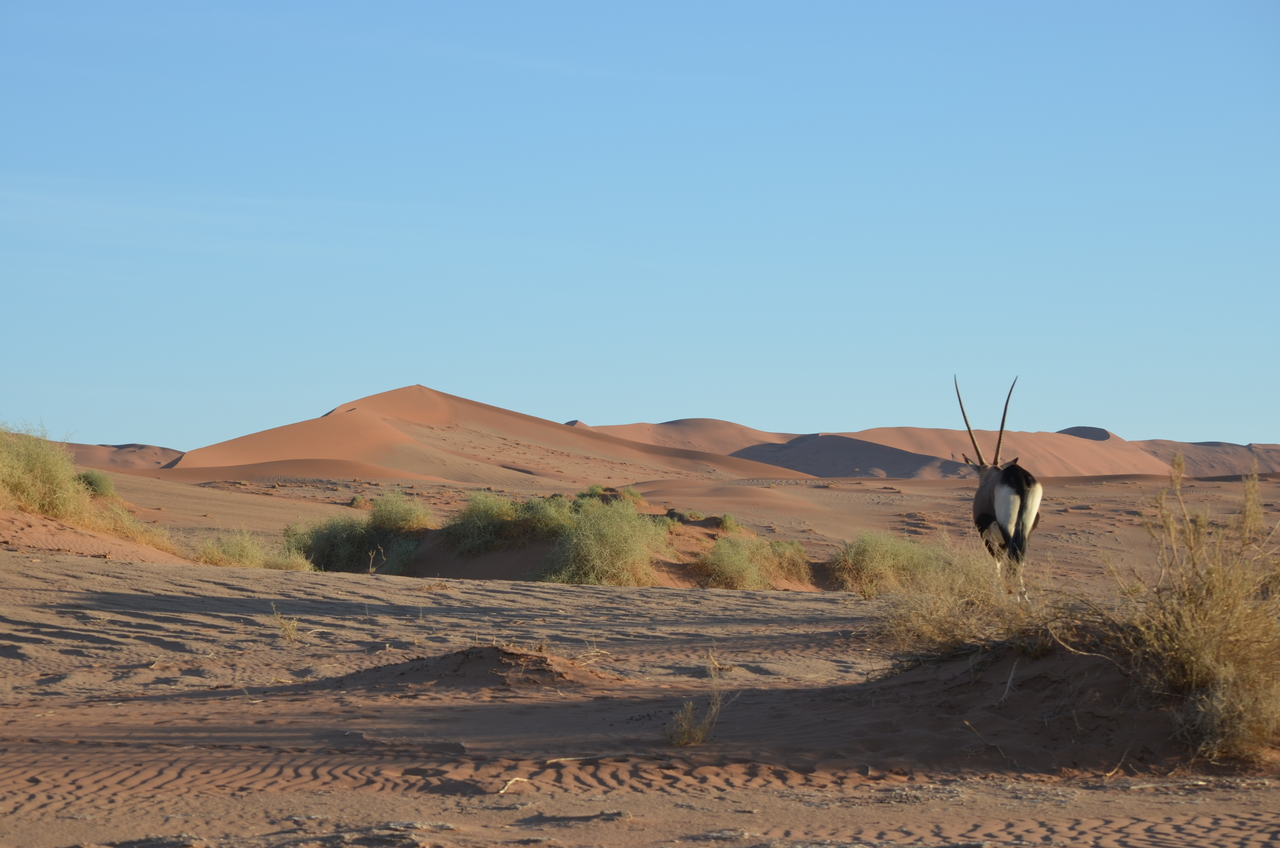 [14388] 2016_06_24_22_39_09_Africa_NIKON_D5100_IMG__04821.jpg