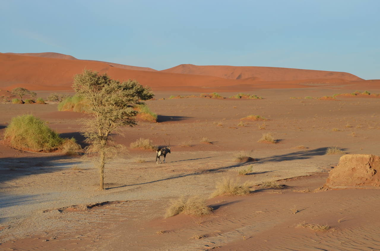 [14392] 2016_06_24_22_40_53_Africa_NIKON_D5100_IMG__04823.jpg