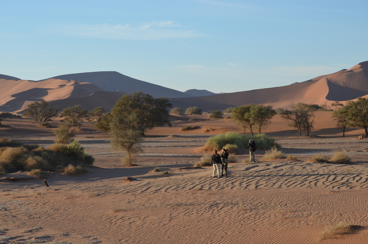 [14396] 2016_06_24_22_41_22_Africa_NIKON_D5100_IMG__04825.jpg