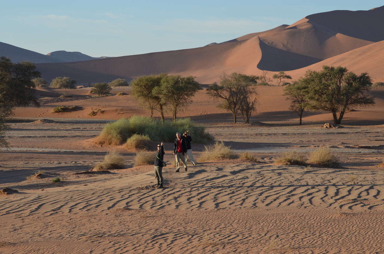 [14398] 2016_06_24_22_41_58_Africa_NIKON_D5100_IMG__04826.jpg