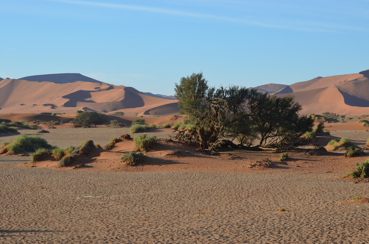 [14408] 2016_06_24_22_59_19_Africa_NIKON_D5100_IMG__04831.jpg