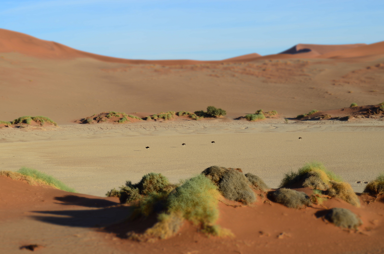 [14413] 2016_06_24_23_01_56_Africa_NIKON_D5100_IMG__00212.jpg