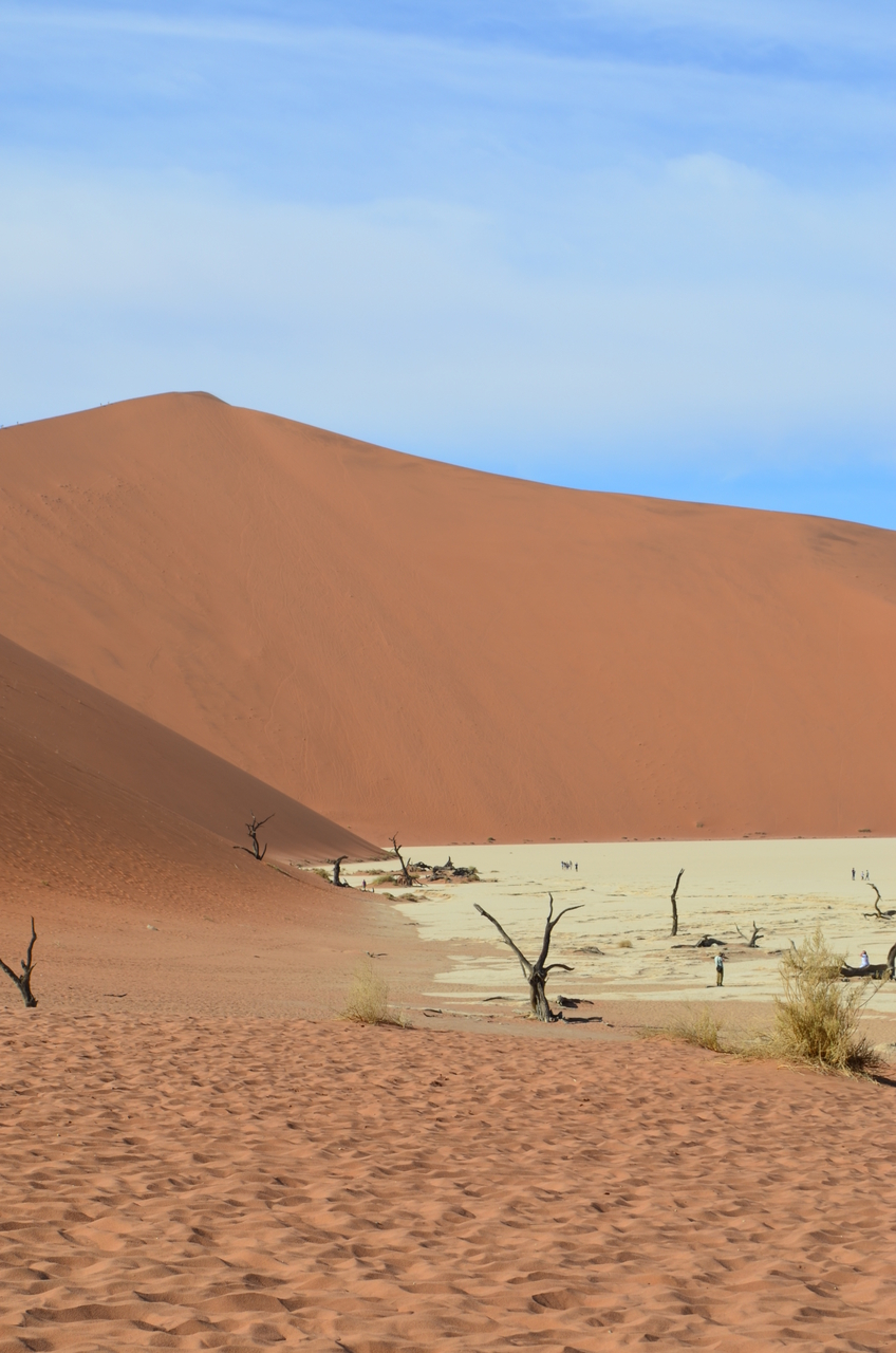 [14496] 2016_06_25_00_57_19_Africa_NIKON_D5100_IMG__04875.jpg