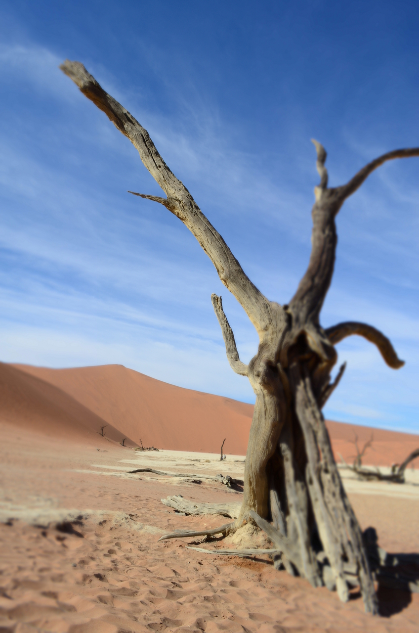 [14499] 2016_06_25_01_00_56_Africa_NIKON_D5100_IMG__00255.jpg