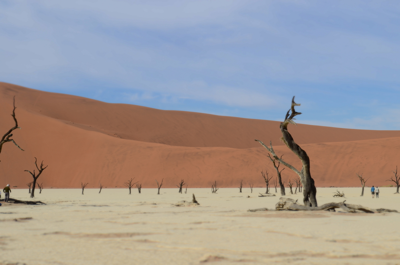 [14503] 2016_06_25_01_03_01_Africa_NIKON_D5100_IMG__00257.jpg