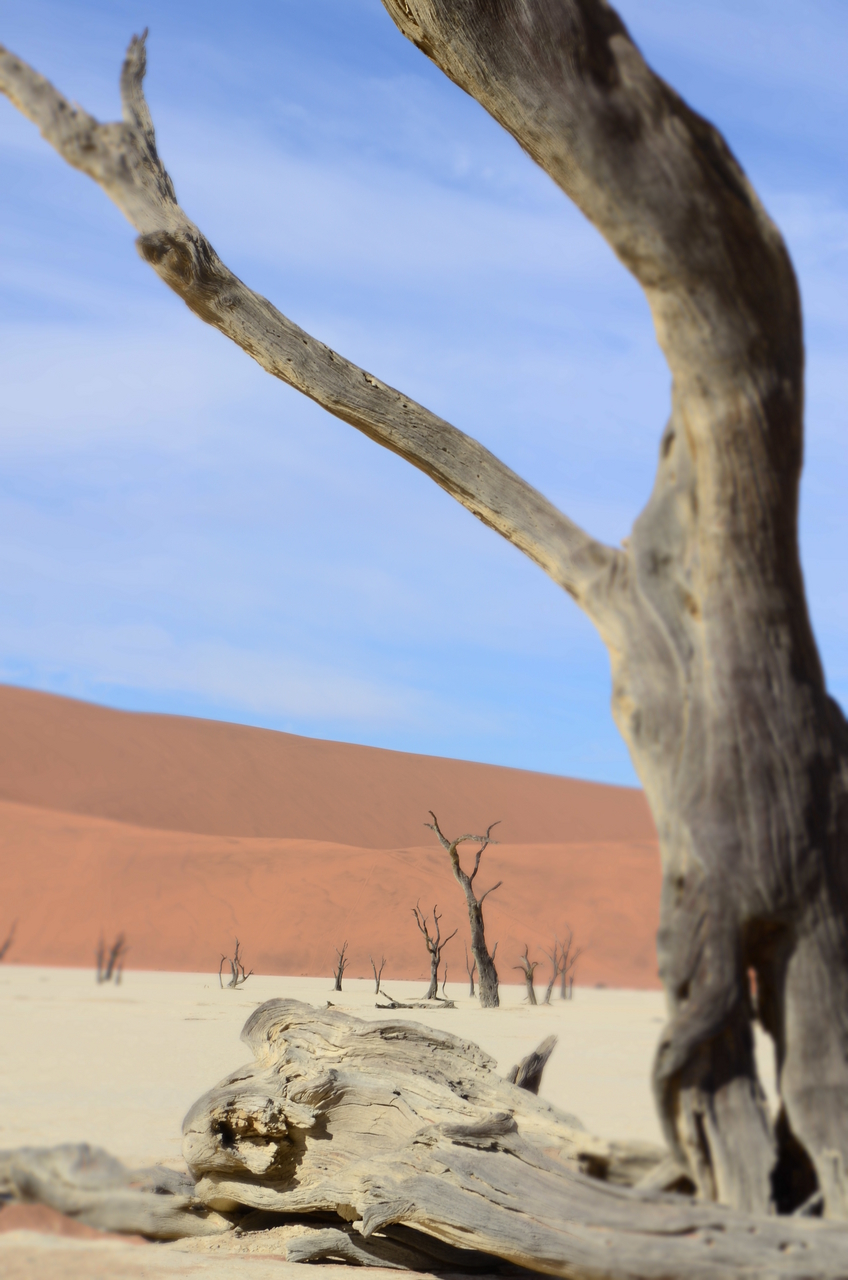 [14508] 2016_06_25_01_05_11_Africa_NIKON_D5100_IMG__04881.jpg