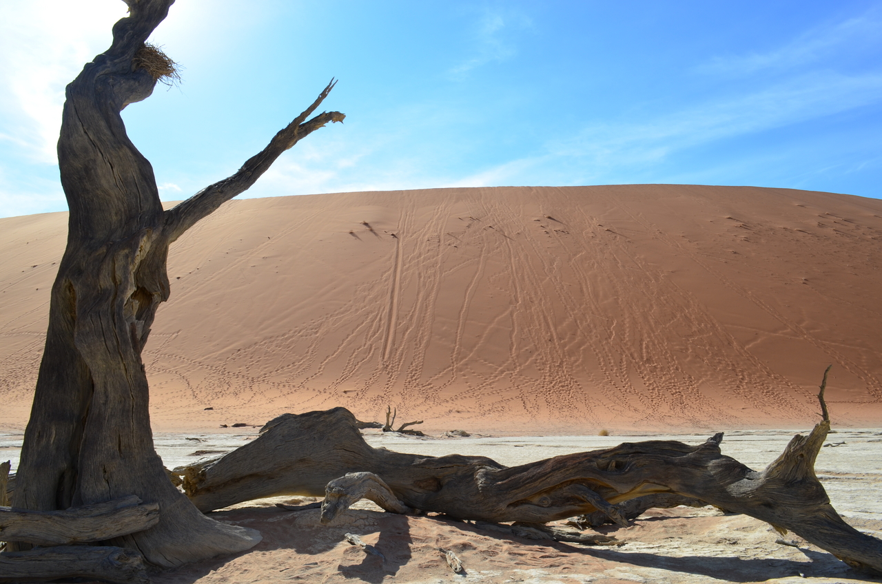 [14516] 2016_06_25_01_06_55_Africa_NIKON_D5100_IMG__04885.jpg