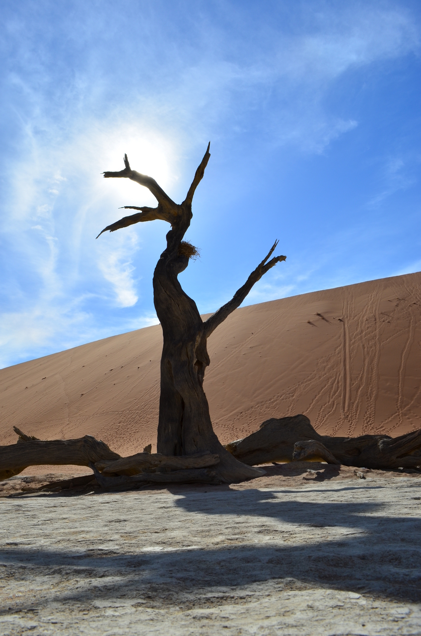 [14518] 2016_06_25_01_07_26_Africa_NIKON_D5100_IMG__04886.jpg