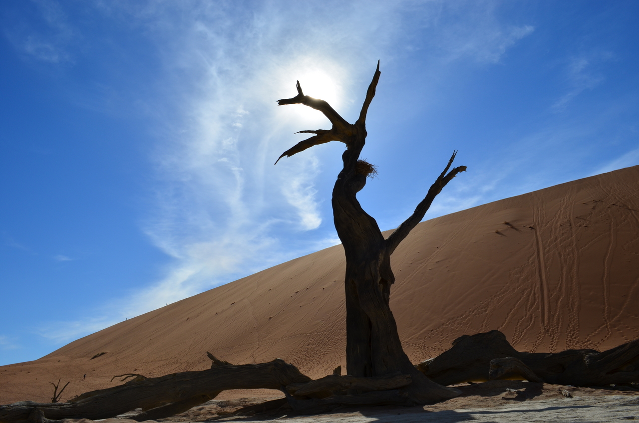 [14520] 2016_06_25_01_07_38_Africa_NIKON_D5100_IMG__04887.jpg