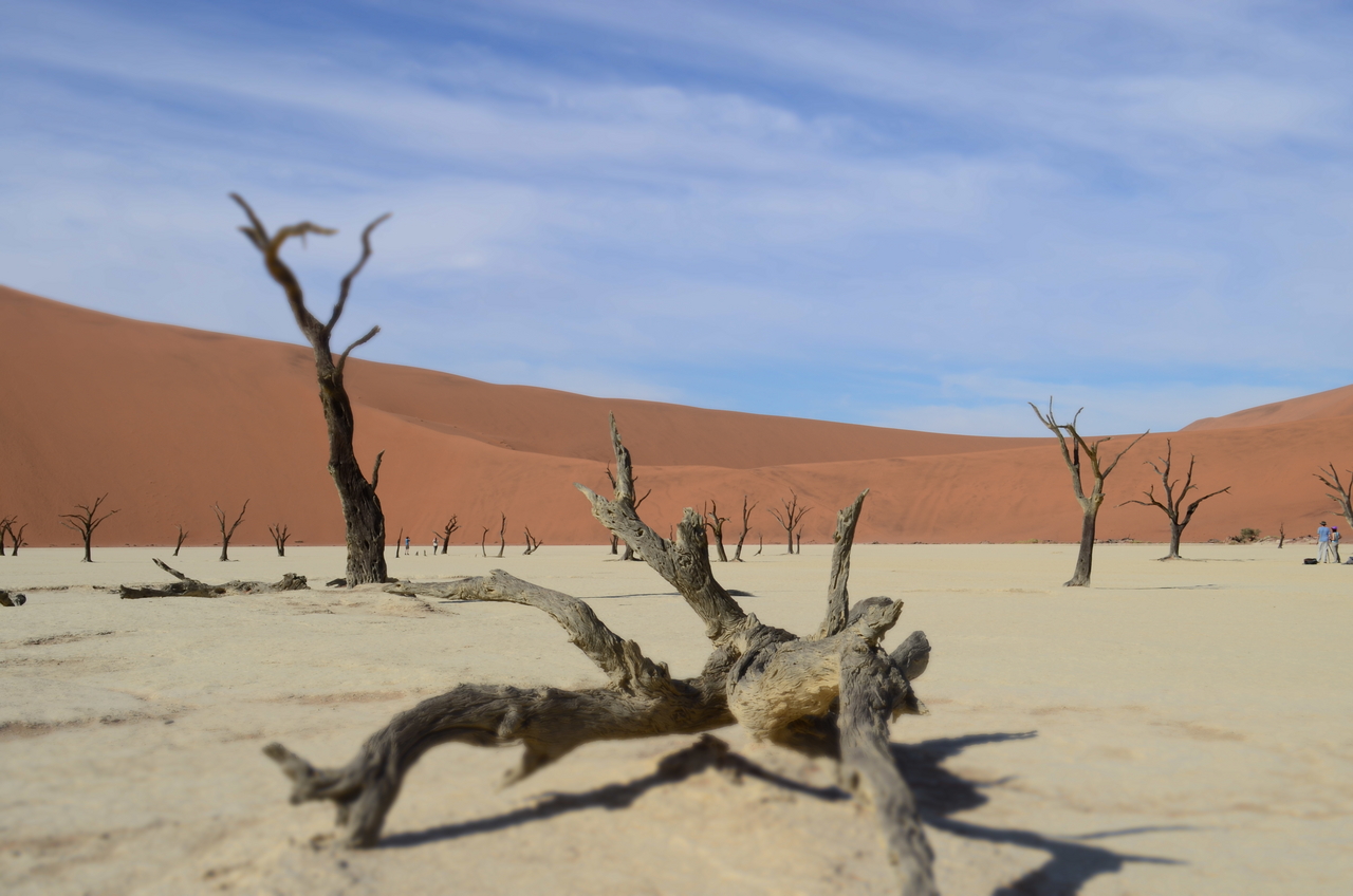 [14523] 2016_06_25_01_09_13_Africa_NIKON_D5100_IMG__00267.jpg