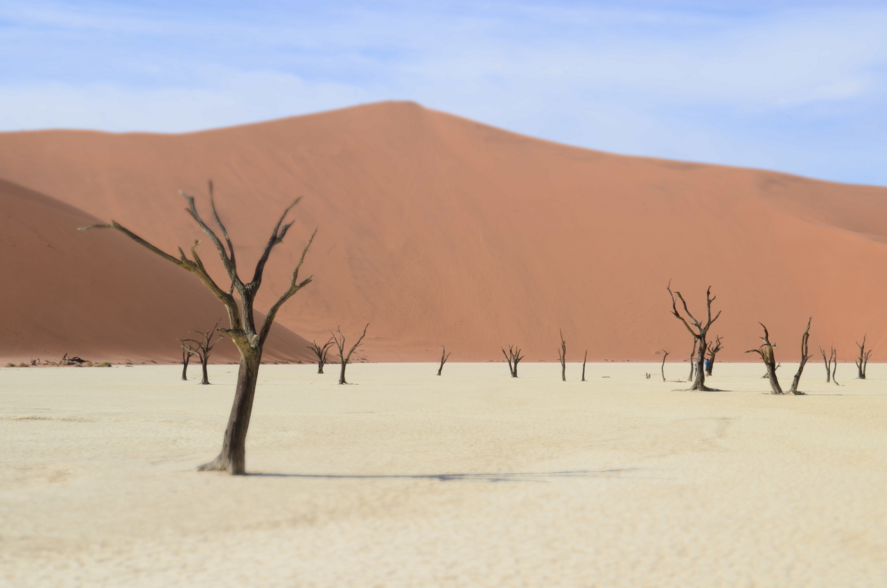 [14532] 2016_06_25_01_11_58_Africa_NIKON_D5100_IMG__04893.jpg