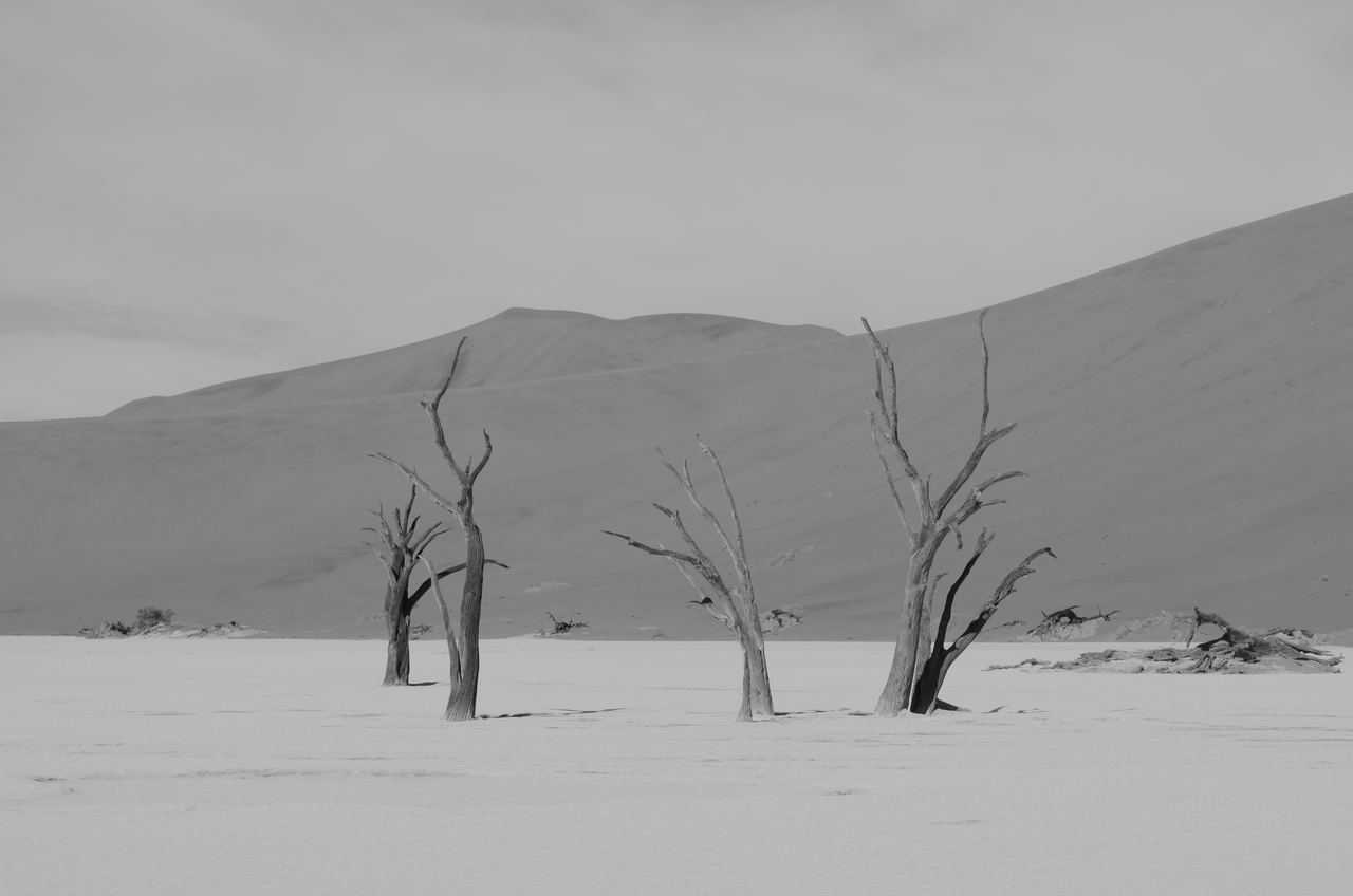 [14535] 2016_06_25_01_12_49_Africa_NIKON_D5100_IMG__00273.jpg