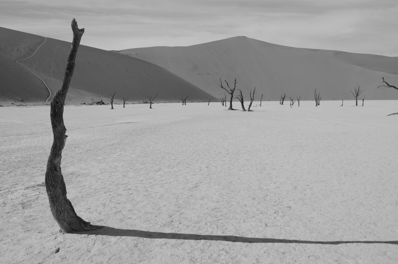 [14537] 2016_06_25_01_13_17_Africa_NIKON_D5100_IMG__00274.jpg