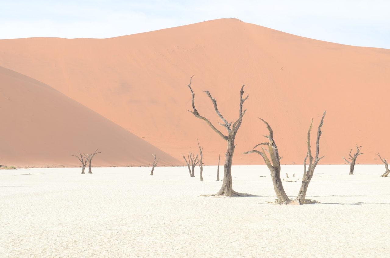 [14541] 2016_06_25_01_14_19_Africa_NIKON_D5100_IMG__00276.jpg