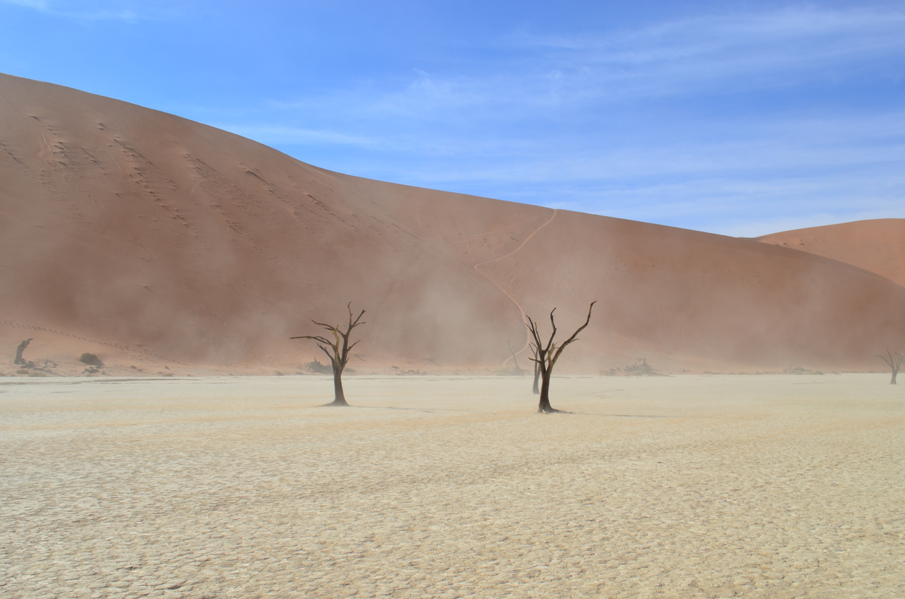 [14546] 2016_06_25_01_17_35_Africa_NIKON_D5100_IMG__04900.jpg