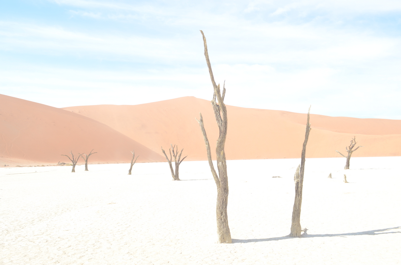 [14554] 2016_06_25_01_19_27_Africa_NIKON_D5100_IMG__04904.jpg