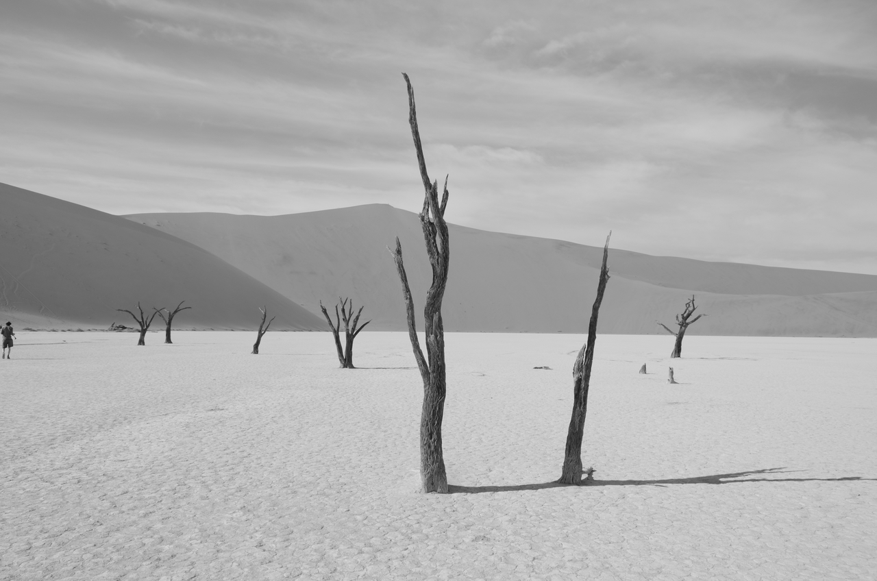 [14555] 2016_06_25_01_19_41_Africa_NIKON_D5100_IMG__00283.jpg