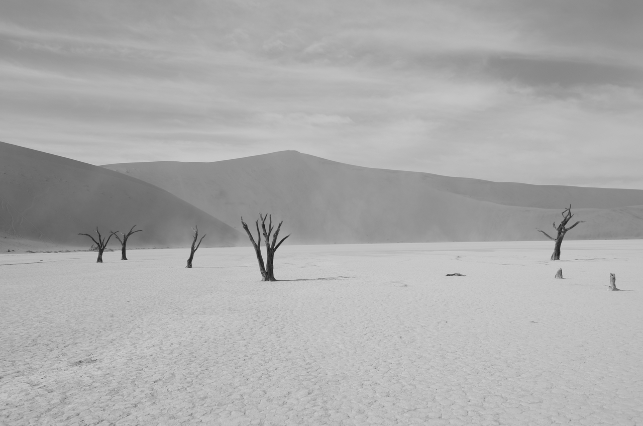 [14566] 2016_06_25_01_23_24_Africa_NIKON_D5100_IMG__04910.jpg