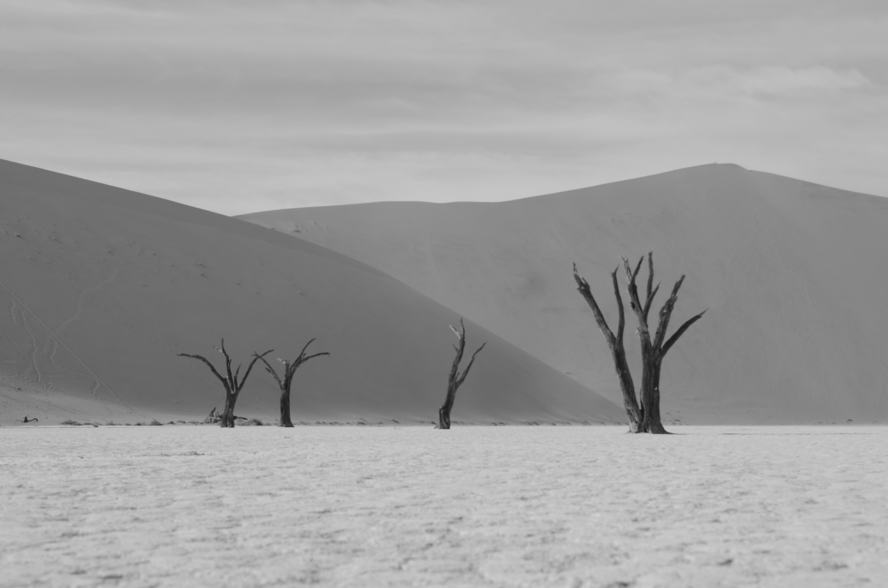 [14568] 2016_06_25_01_24_02_Africa_NIKON_D5100_IMG__04911.jpg