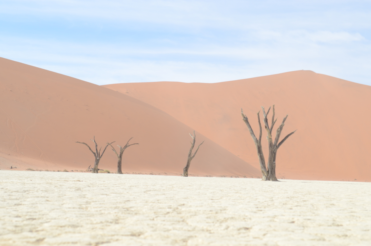 [14569] 2016_06_25_01_24_16_Africa_NIKON_D5100_IMG__00290.jpg