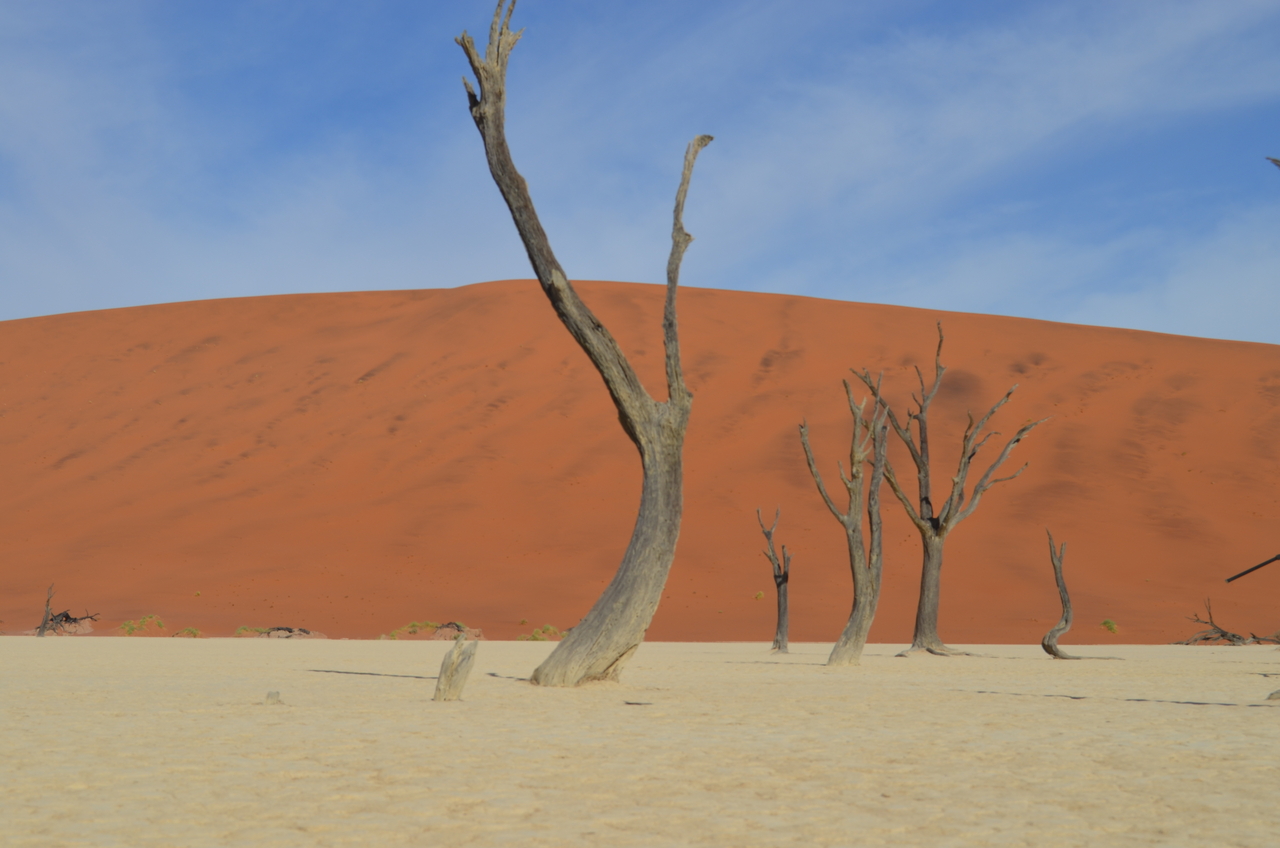 [14571] 2016_06_25_01_24_36_Africa_NIKON_D5100_IMG__00291.jpg