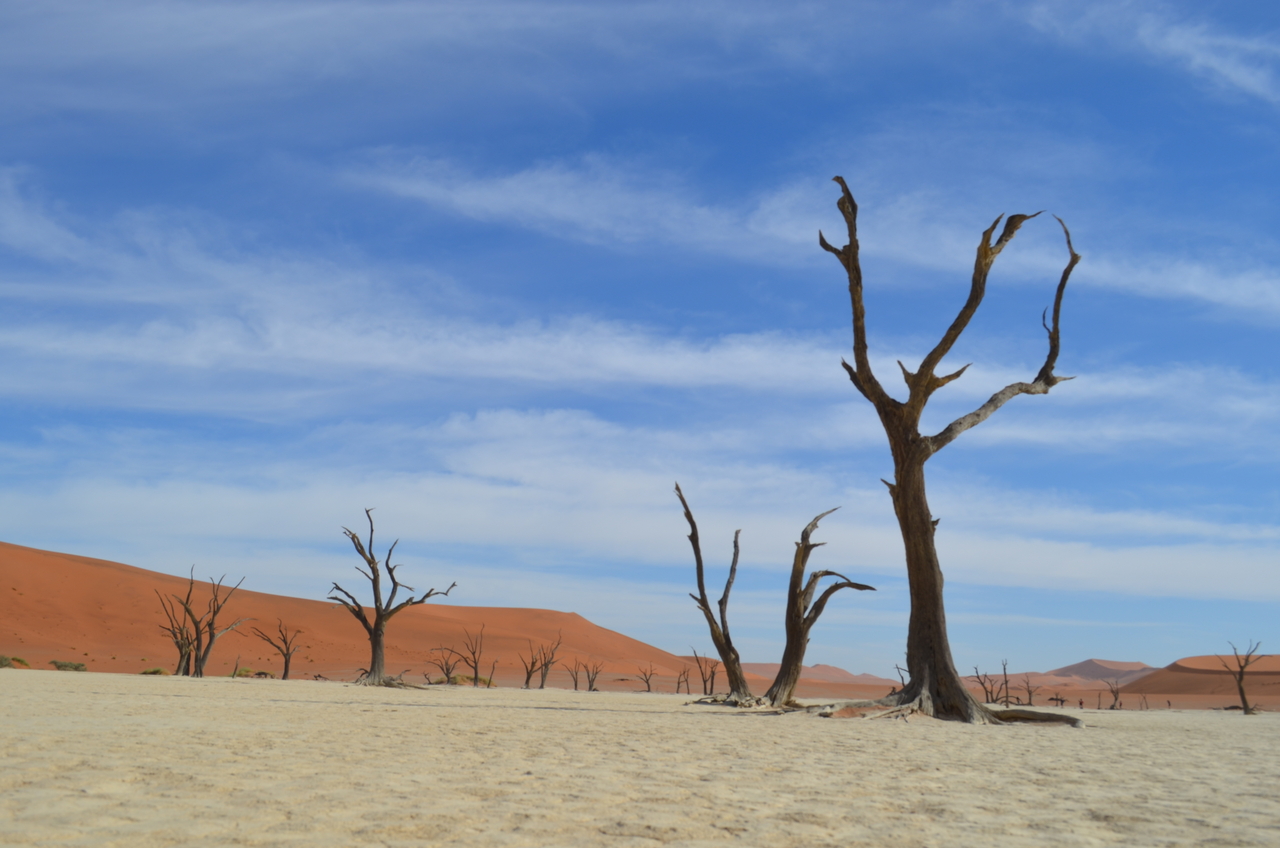 [14579] 2016_06_25_01_26_04_Africa_NIKON_D5100_IMG__00293.jpg