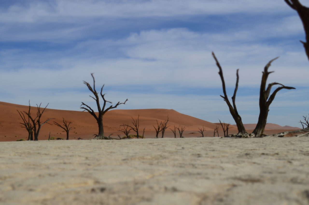 [14587] 2016_06_25_01_27_12_Africa_NIKON_D5100_IMG__00297.jpg