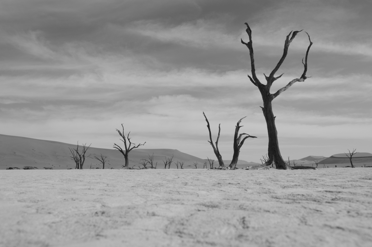 [14589] 2016_06_25_01_27_35_Africa_NIKON_D5100_IMG__00298.jpg