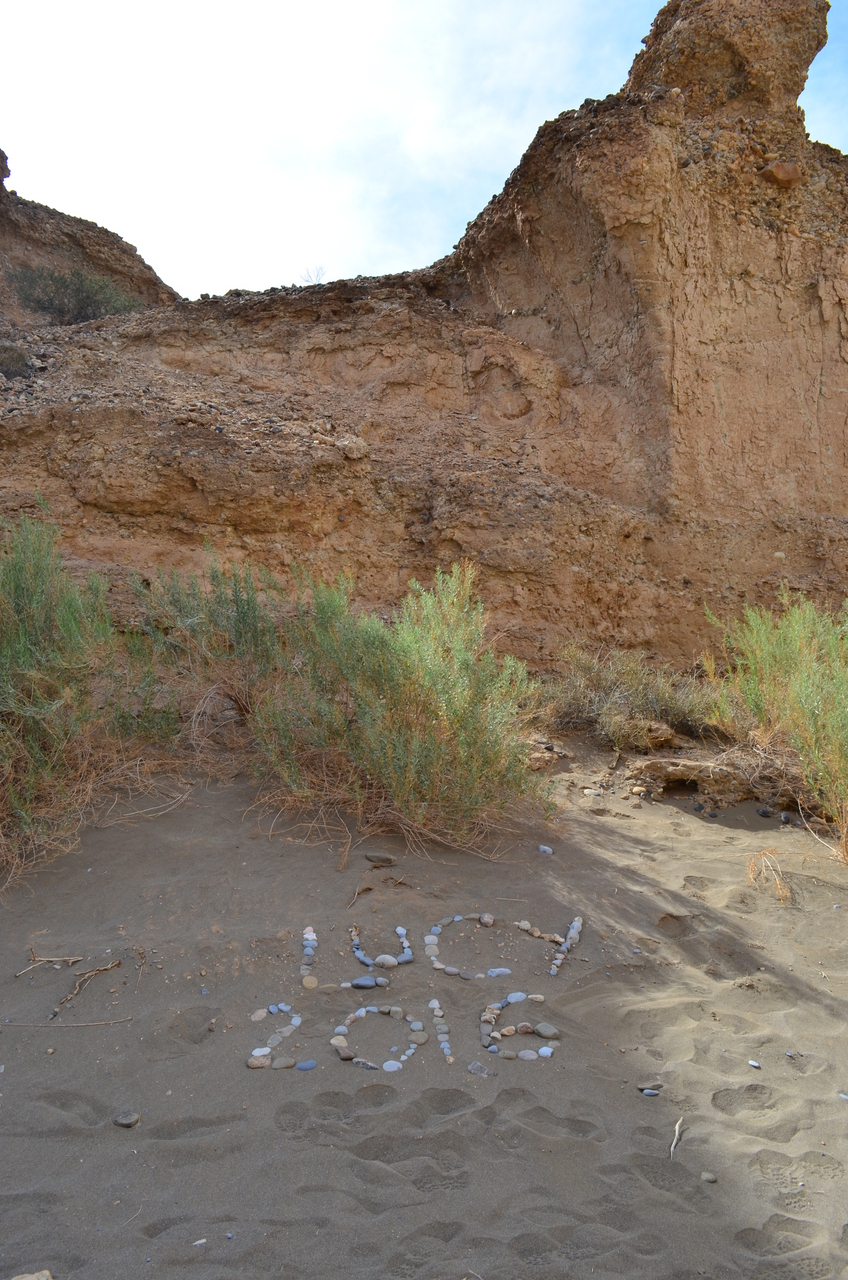 [15161] 2016_06_25_03_43_27_Africa_NIKON_D5100_IMG__04935.jpg