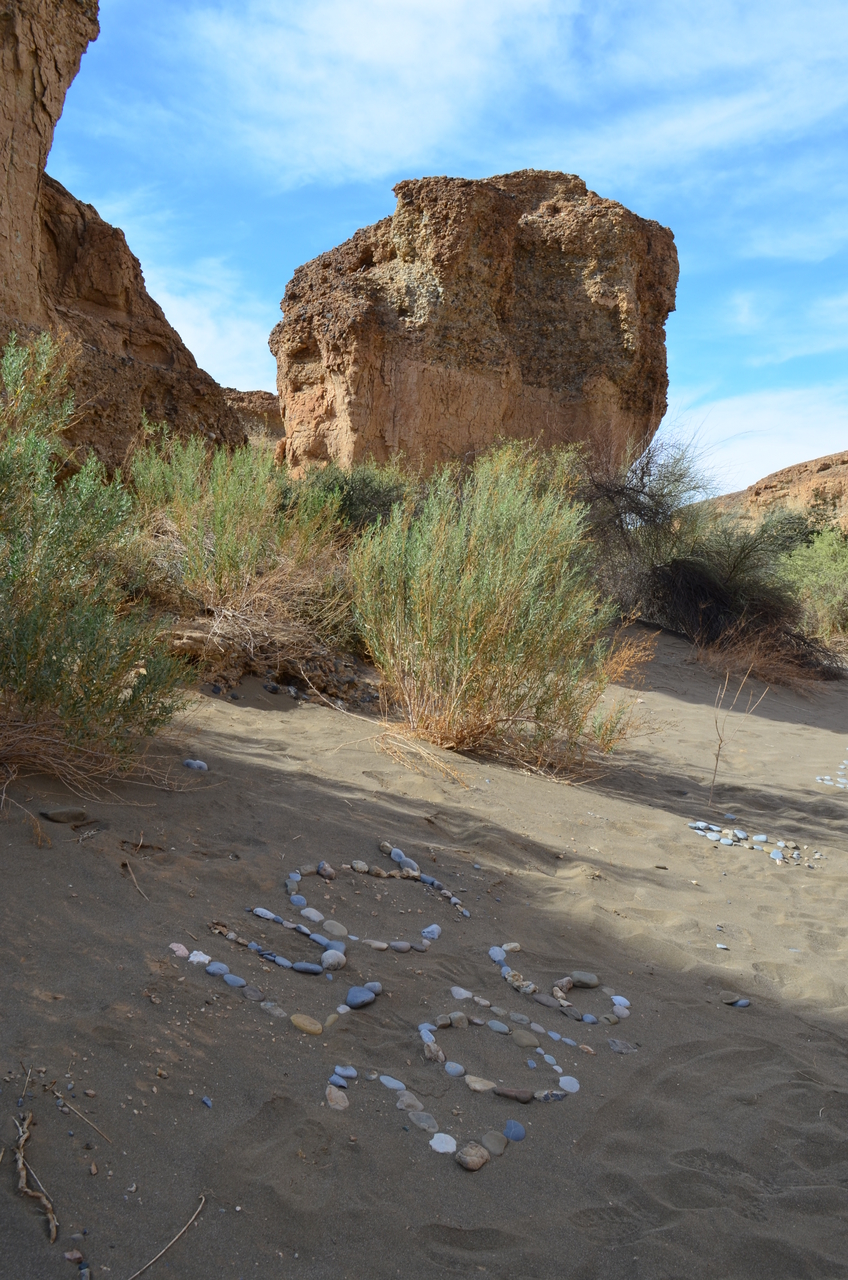 [15168] 2016_06_25_03_44_41_Africa_NIKON_D5100_IMG__04937.jpg