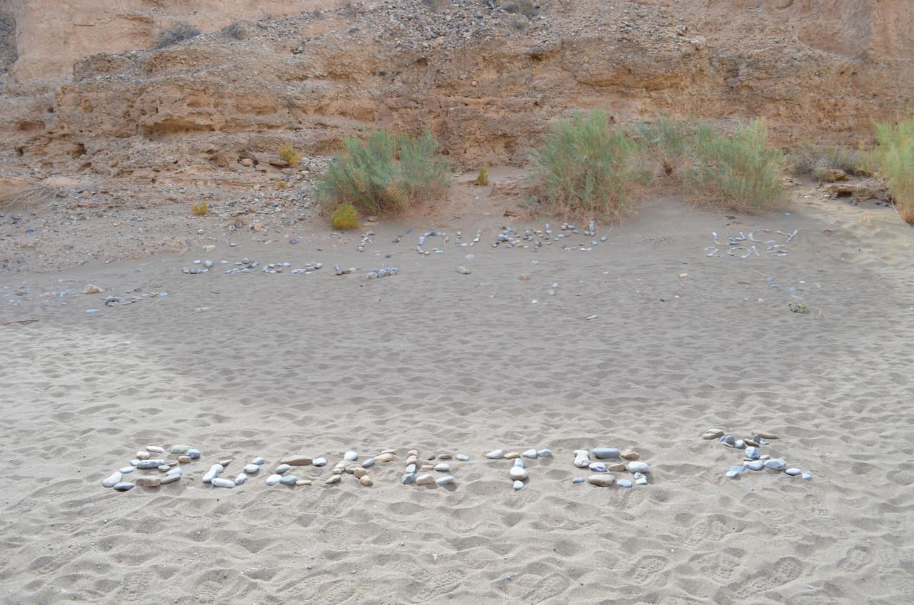 [15175] 2016_06_25_03_49_28_Africa_NIKON_D5100_IMG__00319.jpg