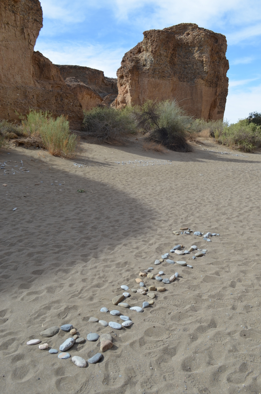 [15178] 2016_06_25_03_52_23_Africa_NIKON_D5100_IMG__04942.jpg