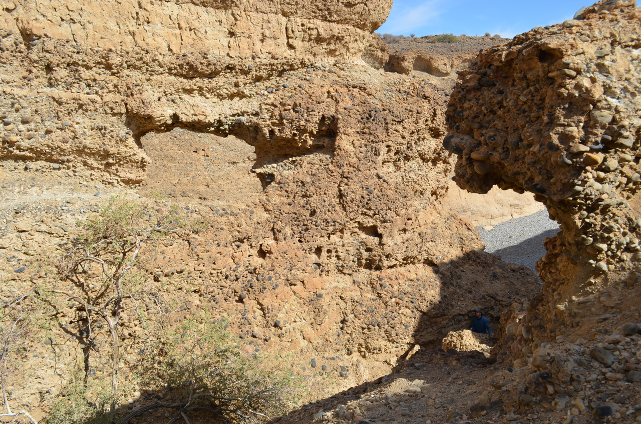 [15180] 2016_06_25_03_59_47_Africa_NIKON_D5100_IMG__04943.jpg