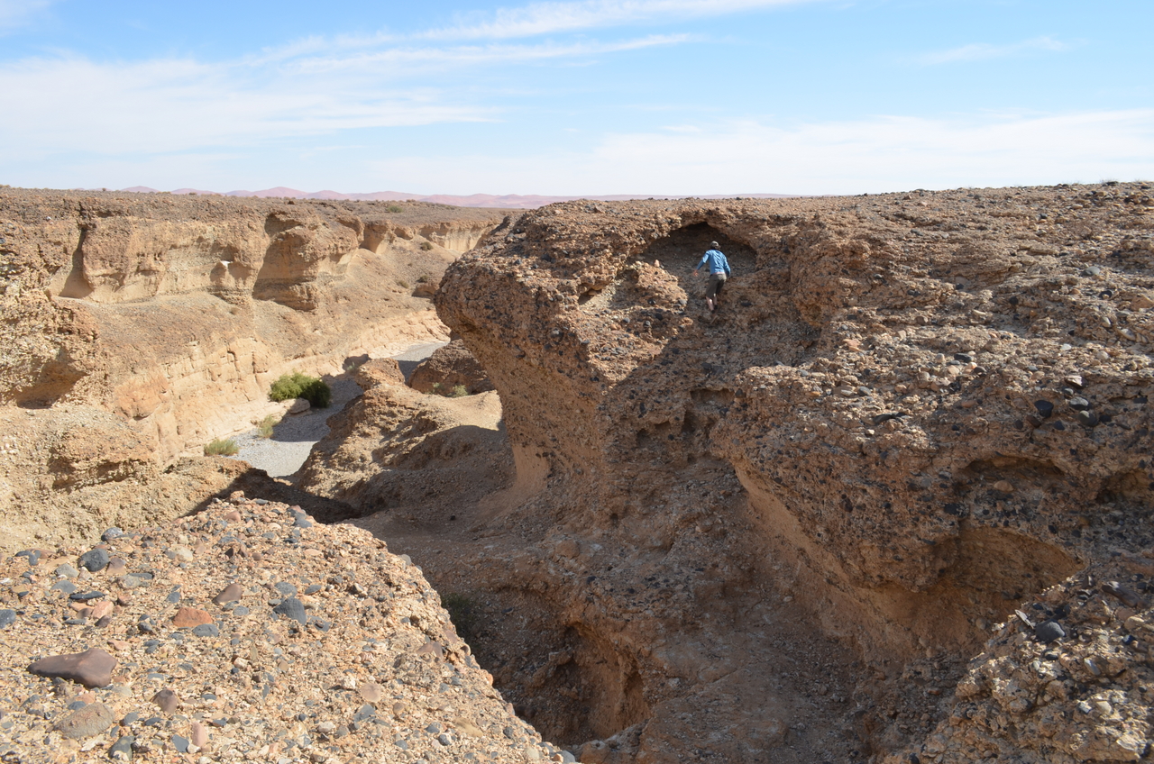 [15251] 2016_06_25_04_04_39_Africa_NIKON_D5100_IMG__04944.jpg