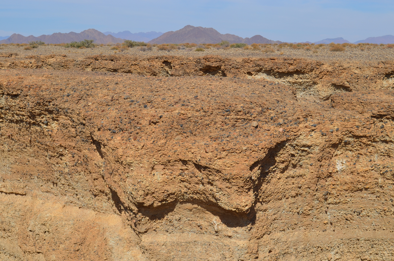 [15254] 2016_06_25_04_07_20_Africa_NIKON_D5100_IMG__00324.jpg