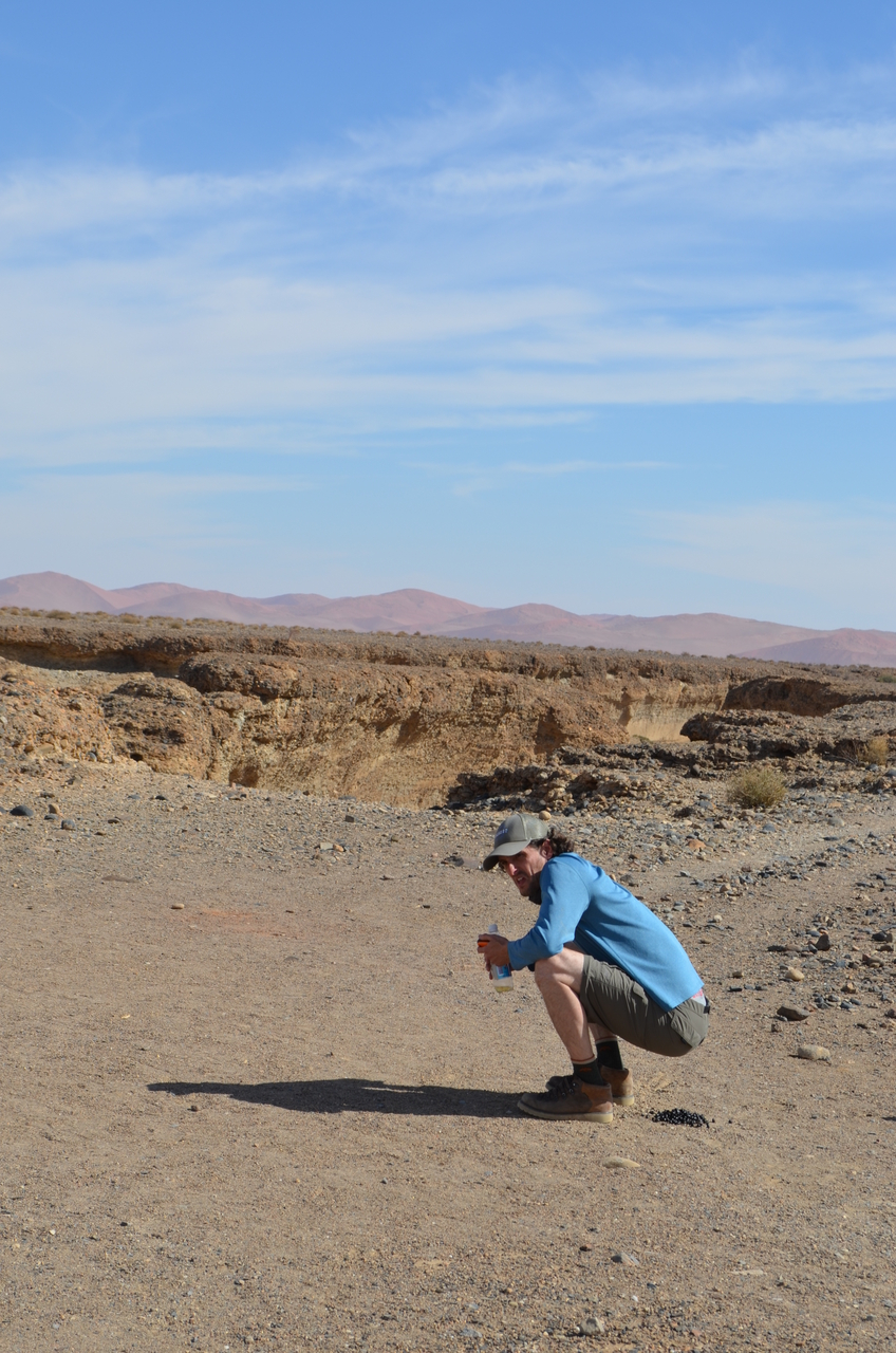 [15262] 2016_06_25_04_12_43_Africa_NIKON_D5100_IMG__00328.jpg