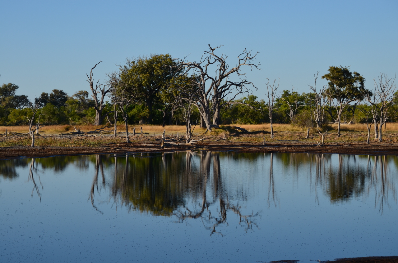 [17358] 2016_06_27_22_14_51_Africa_NIKON_D5100_IMG__04962.jpg
