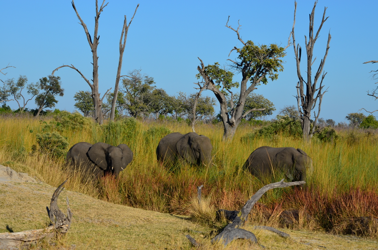 [17368] 2016_06_27_22_28_16_Africa_NIKON_D5100_IMG__04967.jpg