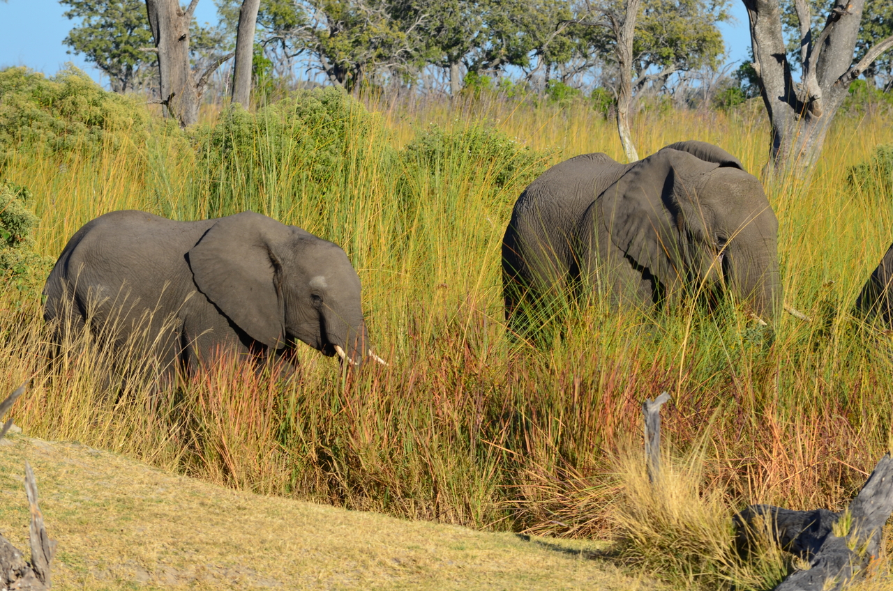 [17370] 2016_06_27_22_28_55_Africa_NIKON_D5100_IMG__04968.jpg