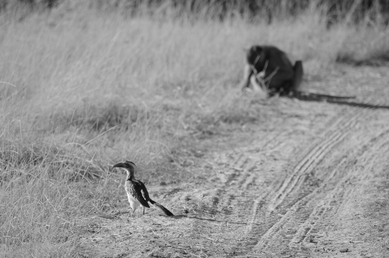 [17417] 2016_06_27_23_04_13_Africa_NIKON_D5100_IMG__00370.jpg