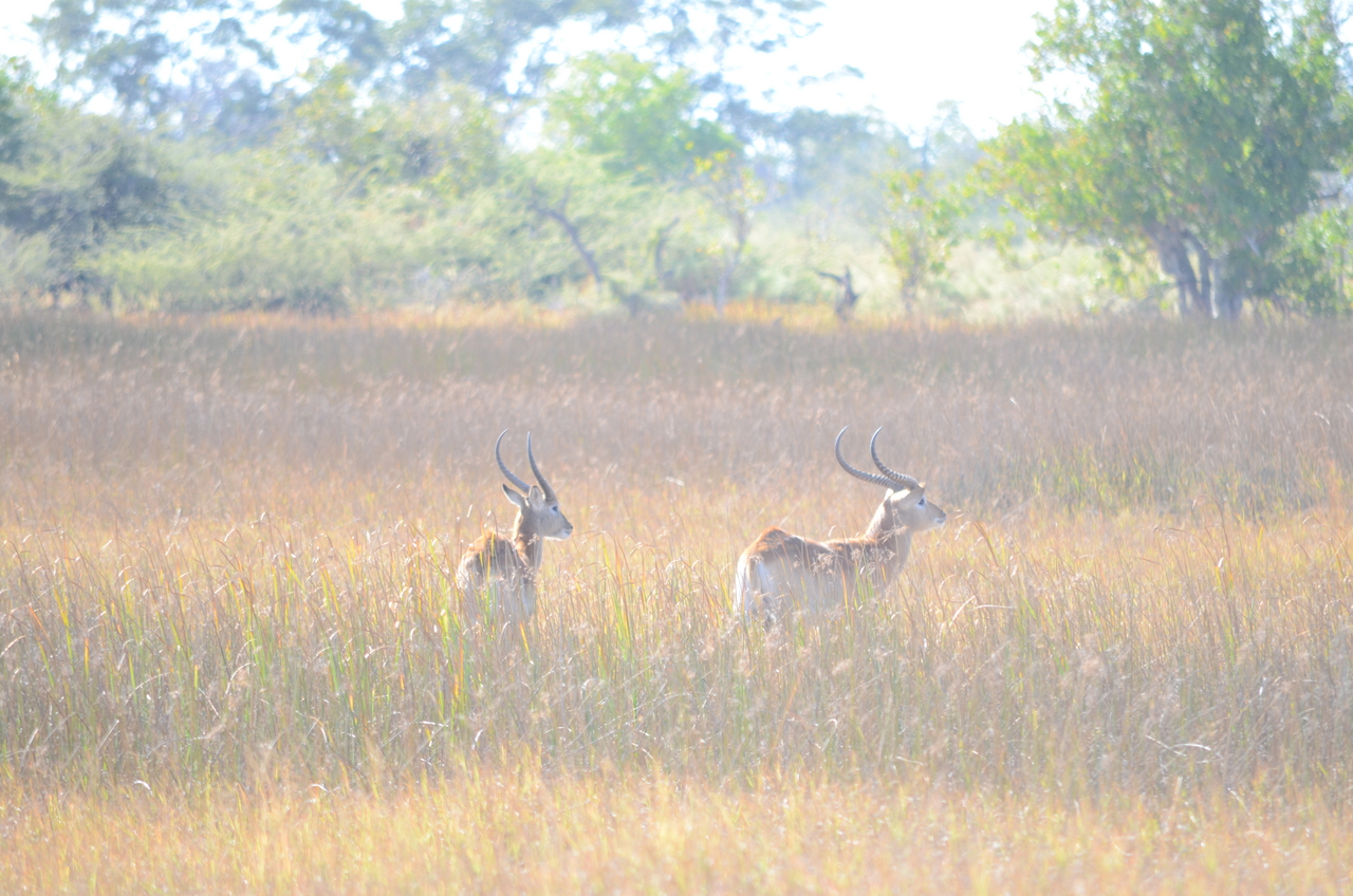 [17424] 2016_06_28_00_05_10_Africa_NIKON_D5100_IMG__04995.jpg