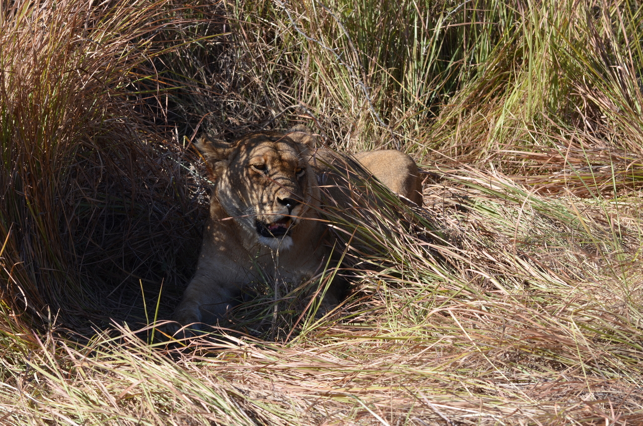 [17429] 2016_06_28_00_13_02_Africa_NIKON_D5100_IMG__00376.jpg