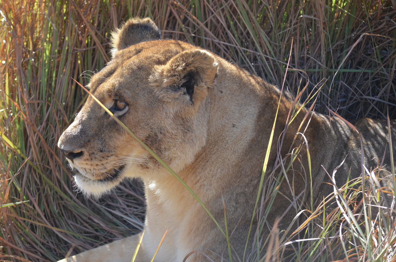 [17449] 2016_06_28_00_28_12_Africa_NIKON_D5100_IMG__00386.jpg