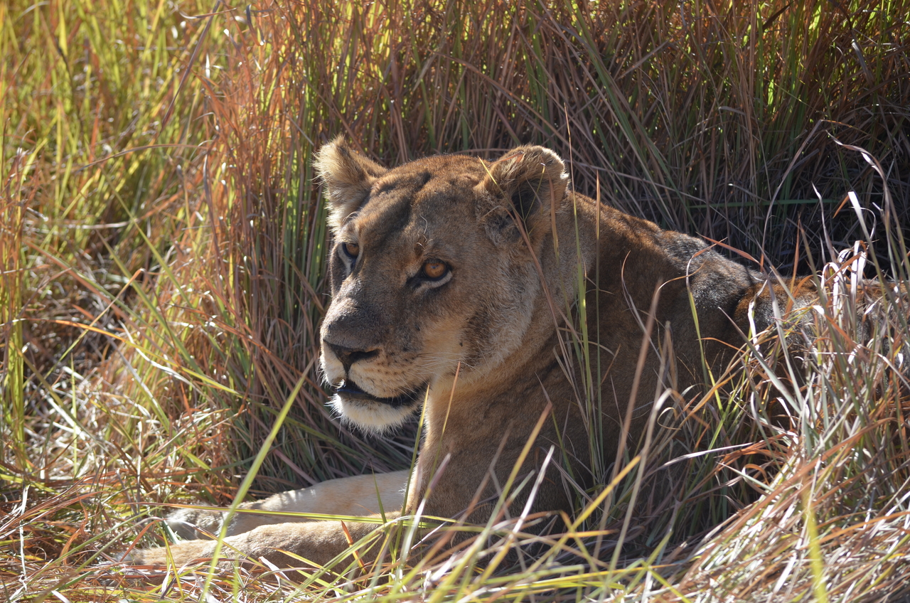 [17459] 2016_06_28_00_33_23_Africa_NIKON_D5100_IMG__00391.jpg