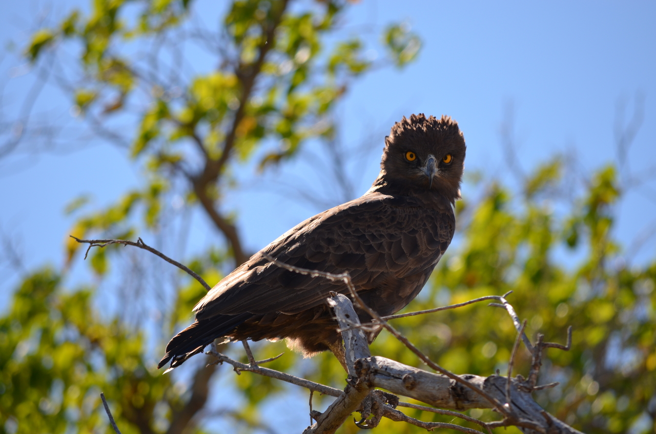 [17554] 2016_06_28_01_10_22_Africa_NIKON_D5100_IMG__05022.jpg