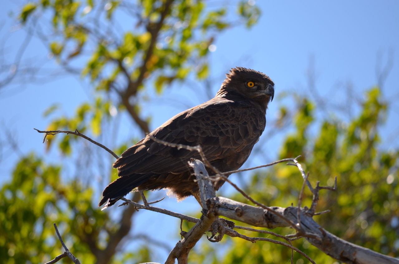[17574] 2016_06_28_01_11_13_Africa_NIKON_D5100_IMG__05023.jpg