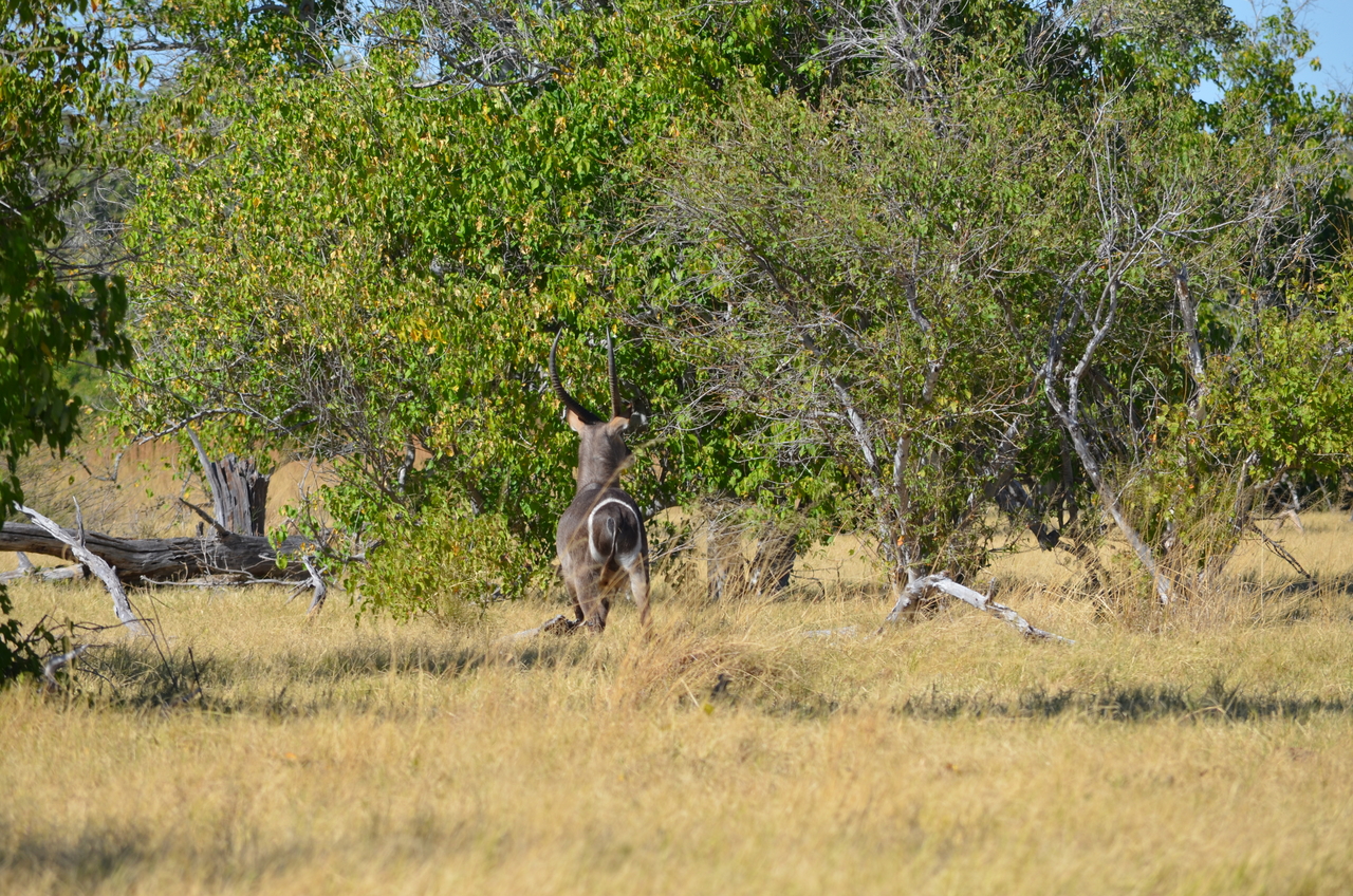 [17689] 2016_06_28_01_20_43_Africa_NIKON_D5100_IMG__05025.jpg