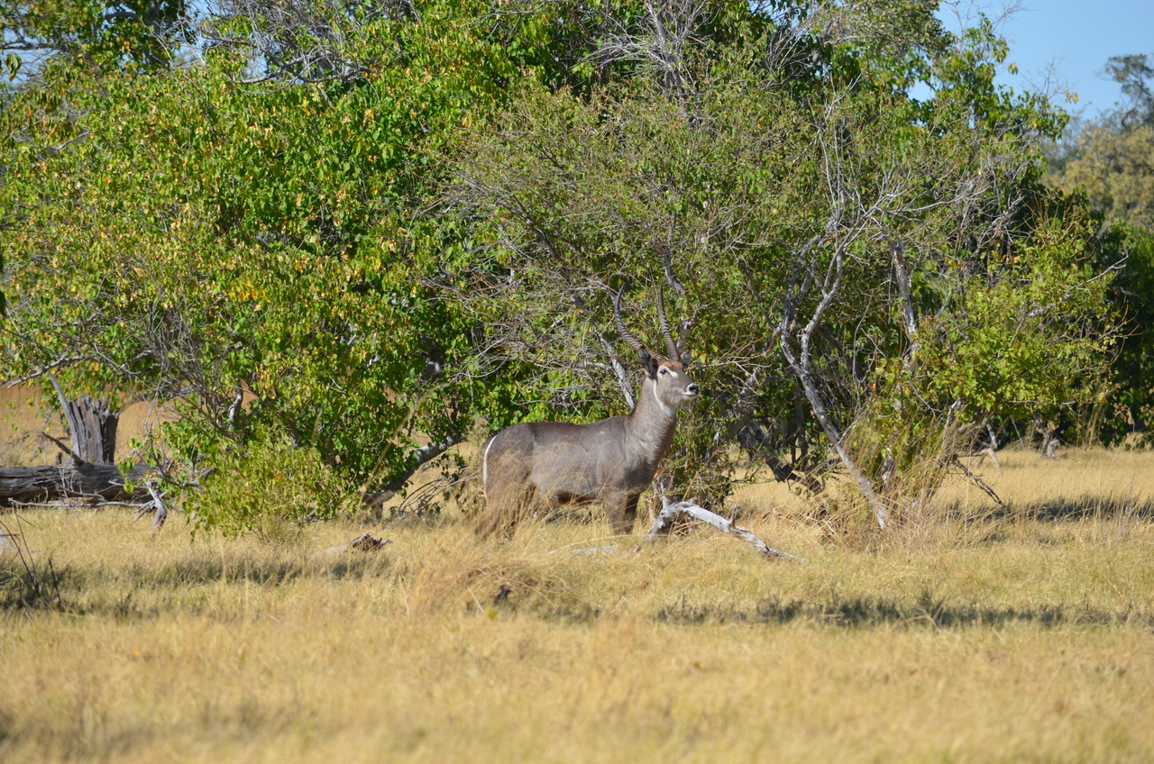 [17691] 2016_06_28_01_20_47_Africa_NIKON_D5100_IMG__05026.jpg