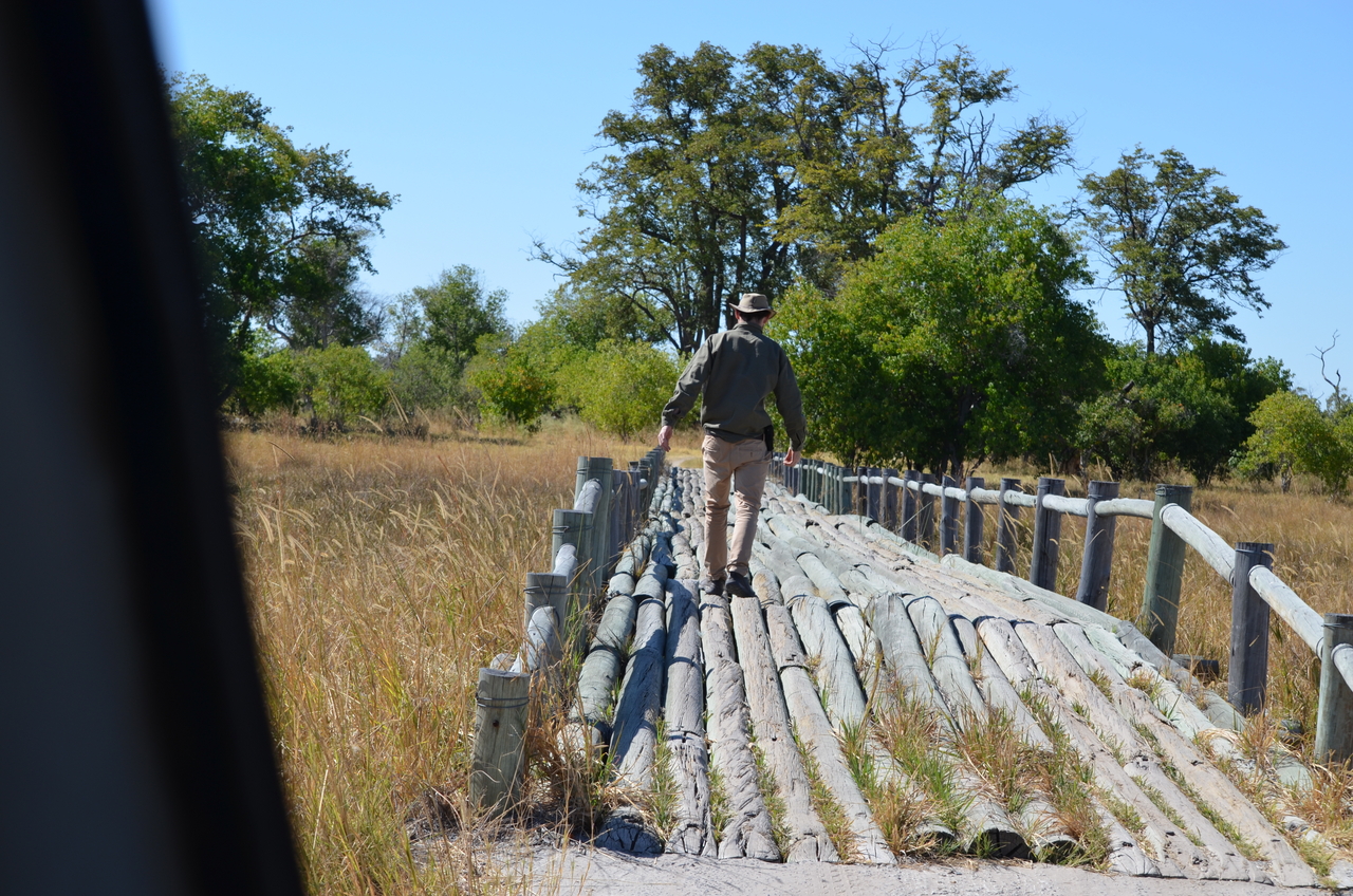 [17697] 2016_06_28_01_25_44_Africa_NIKON_D5100_IMG__00406.jpg